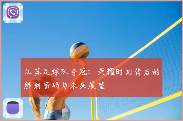 江苏足球队夺冠：荣耀时刻背后的胜利密码与未来展望