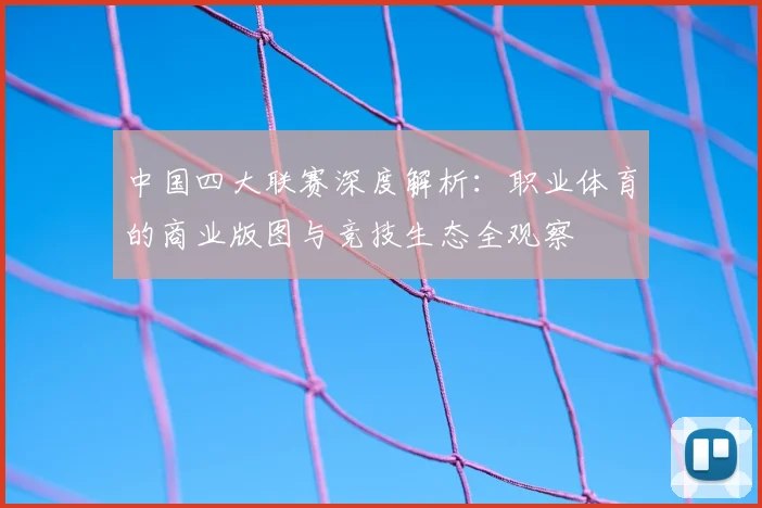 中国四大联赛深度解析：职业体育的商业版图与竞技生态全观察