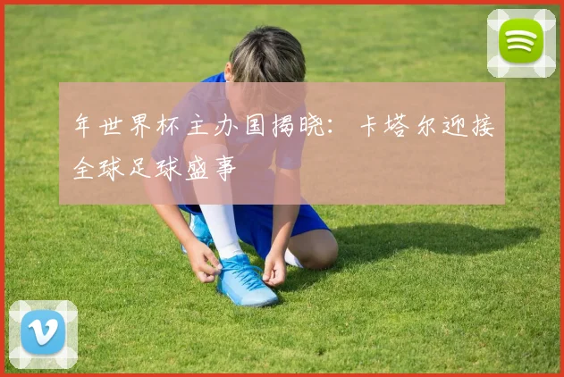 年世界杯主办国揭晓：卡塔尔迎接全球足球盛事