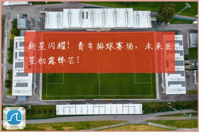 新星闪耀！青年排球赛场，未来巨星初露锋芒！
